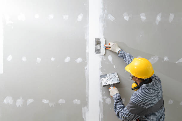 Best Basement Mold Removal  in Edgewood, OH