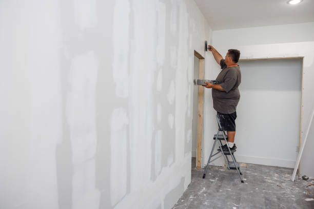 Best Environmental Consulting for Mold Prevention  in Edgewood, OH