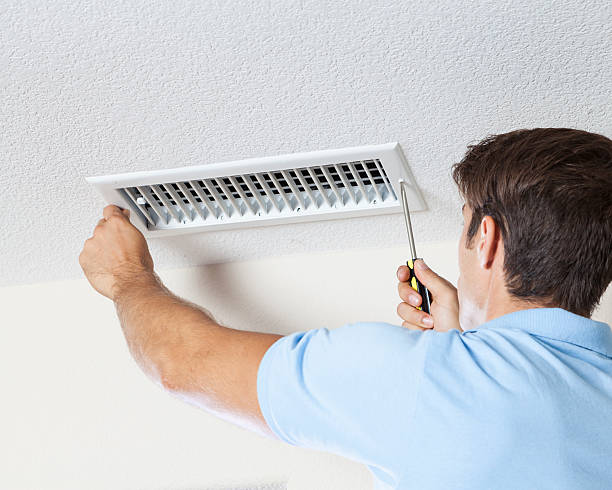 Best Mold Odor Removal Services  in Edgewood, OH