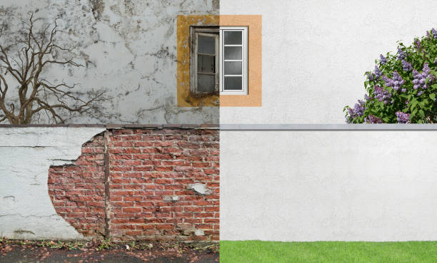 Best Mold Remediation for Healthcare Facilities  in Edgewood, OH