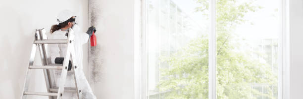 Best Forensic Mold Investigation  in Edgewood, OH