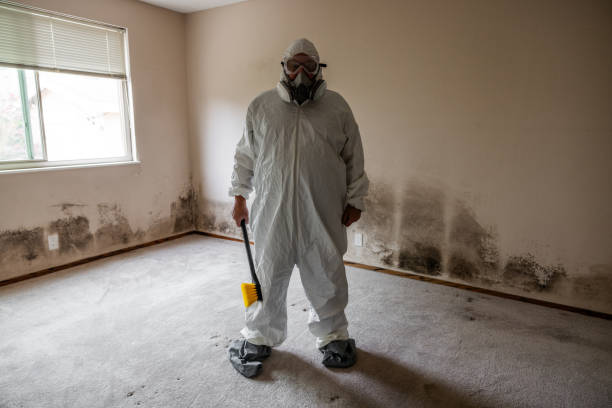 Best HVAC Mold Inspection and Cleaning  in Edgewood, OH