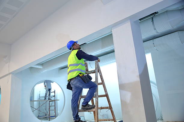 Best Biohazard Mold Removal  in Edgewood, OH